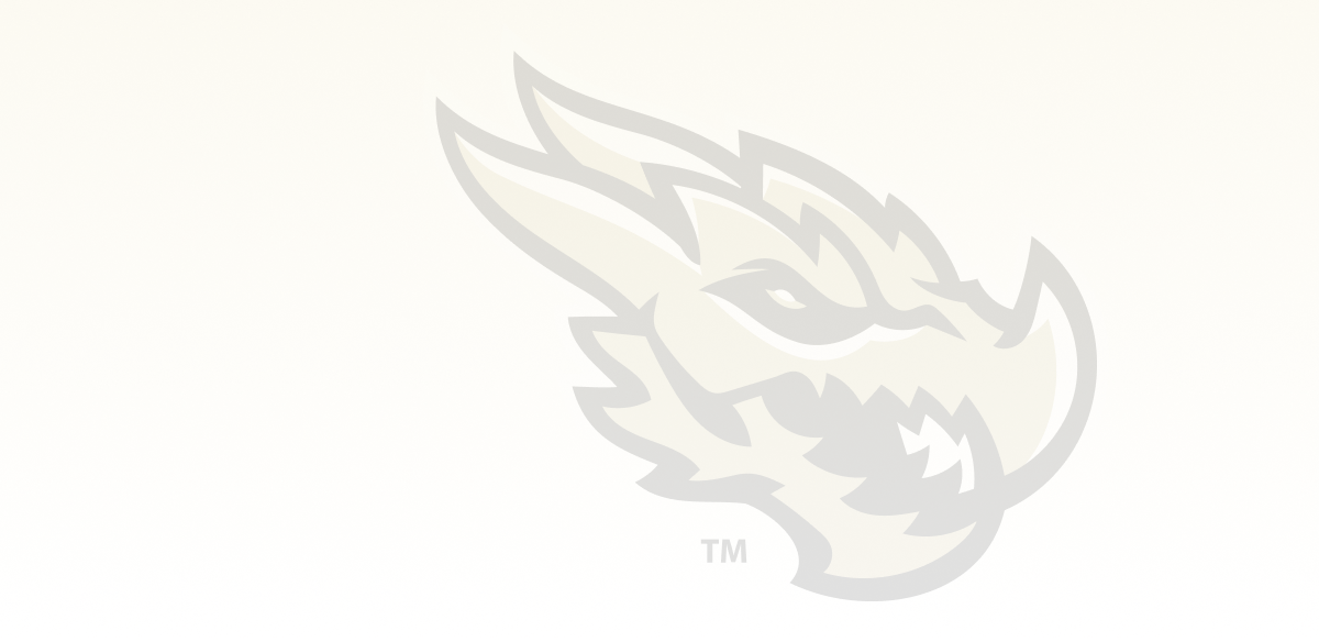 Bandera de la escuela INGAS